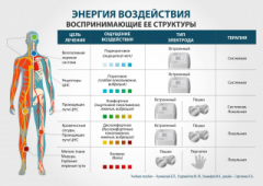 ЧЭНС-01-Скэнар-М в Куйбышеве купить Скэнар официальный сайт - denasvertebra.ru 