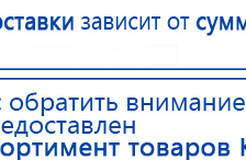 Одеяло Лечебное Многослойное (Одноэкранное) стандартное – ОЛМc (220 см x 160 см) купить в Куйбышеве, Лечебные одеяла ОЛМ купить в Куйбышеве, Скэнар официальный сайт - denasvertebra.ru