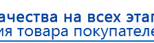 Одеяло Лечебное Многослойное (Одноэкранное) стандартное – ОЛМc (220 см x 160 см) купить в Куйбышеве, Лечебные одеяла ОЛМ купить в Куйбышеве, Скэнар официальный сайт - denasvertebra.ru