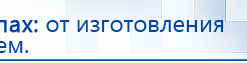 Электрод Скэнар - лицевой двойной Пешки купить в Куйбышеве, Электроды Скэнар купить в Куйбышеве, Скэнар официальный сайт - denasvertebra.ru